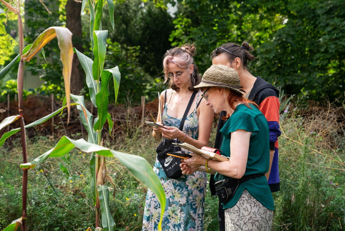 Marche pollinique aux alentours de la Maison de Spore Initiative avec Bärbel Rothhaar. Photo © Esra Gultekin