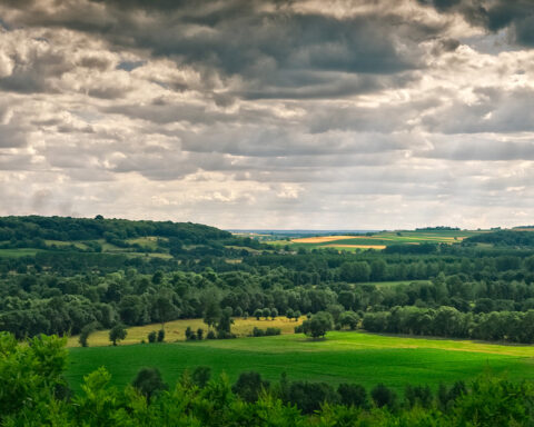 Magnifique bocage