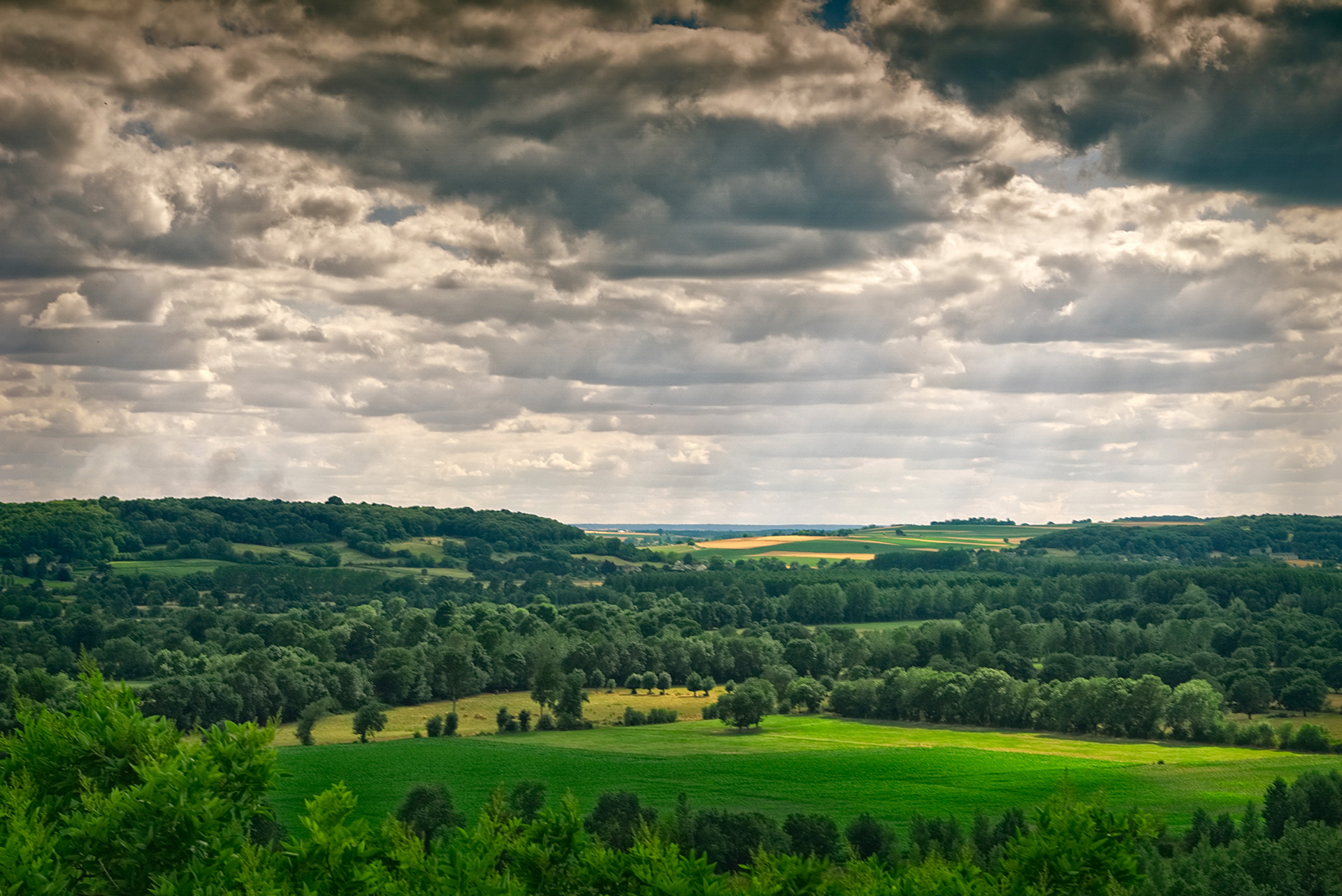 Un bocage "en bon état". Des parcelles suffisamment grandes pour l'agriculture, mais jouant leur rôle de corridor. Photo ©Pxhere