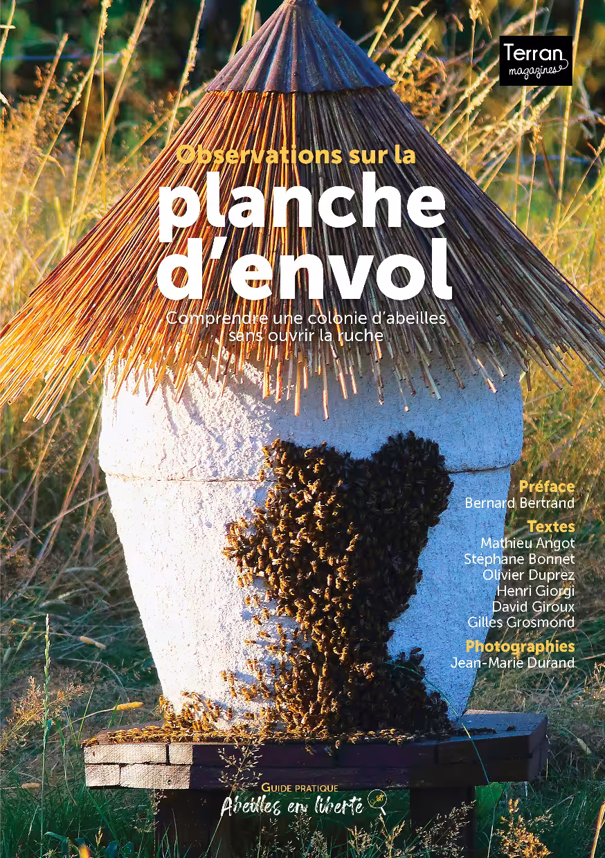 Couverture - Observations sur la planche d'envol V2