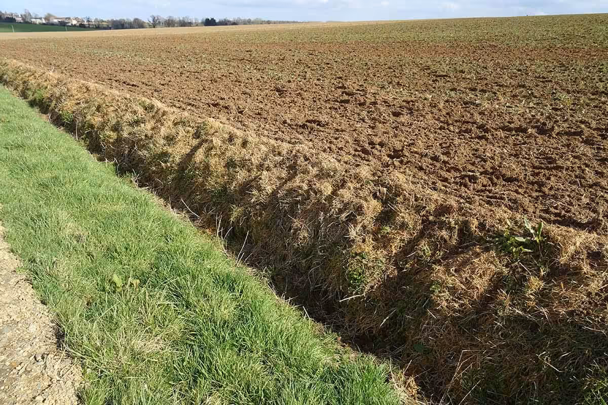Destruction ordinaire des habitats-corridors