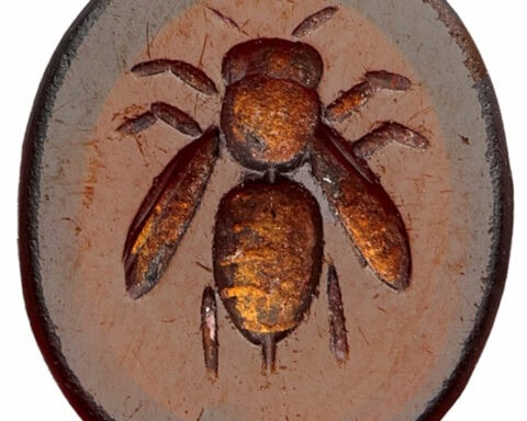 Abeille préhistoire