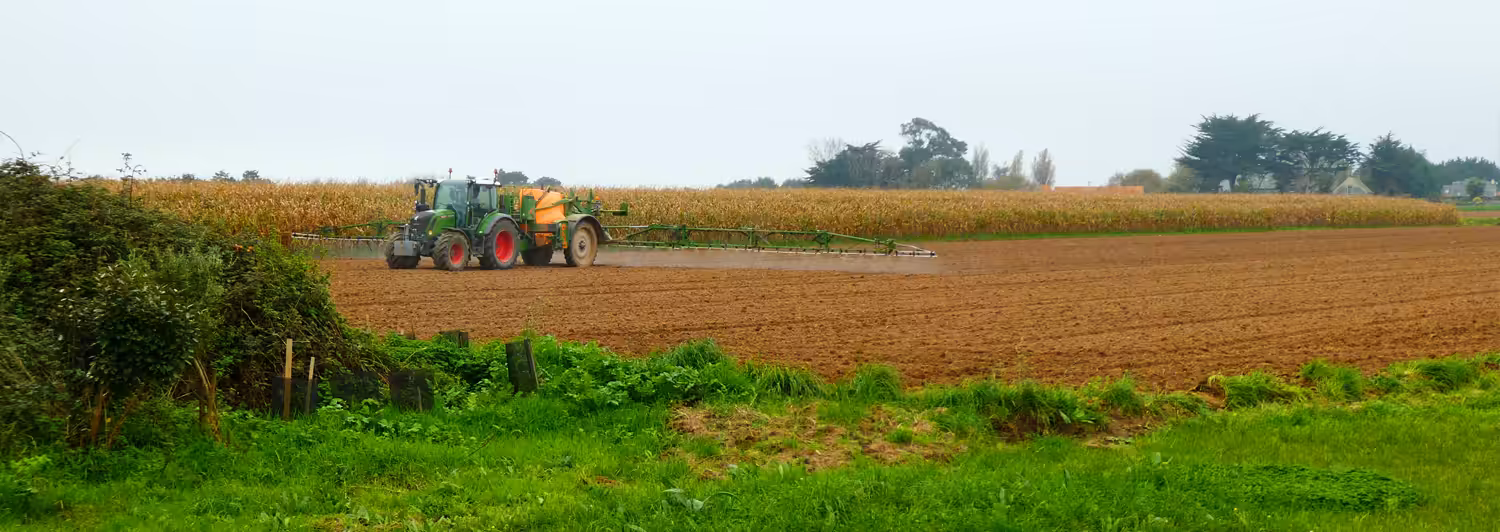 Vie et mort des paysages. Agriculture intensive et abeilles sauvages. Part. 3