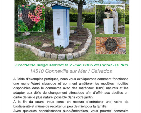 stage ruche familiare juin 2025