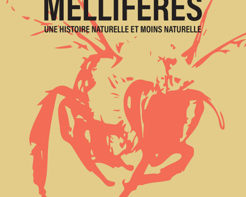 Abeilles mellifères, une histoire naturelle et moins naturelle