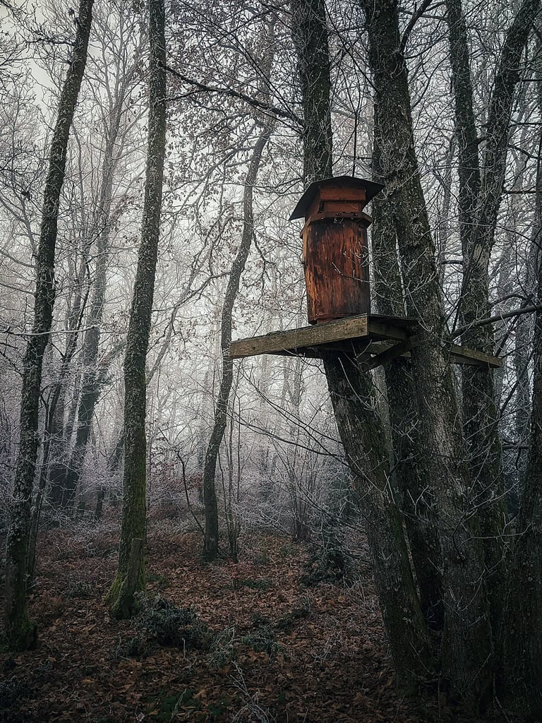 Une ruche de biodiversité conçue par Adam Wright dans la Creuse, totalement intégrée à son environnement. Photo ©Adam Wright
