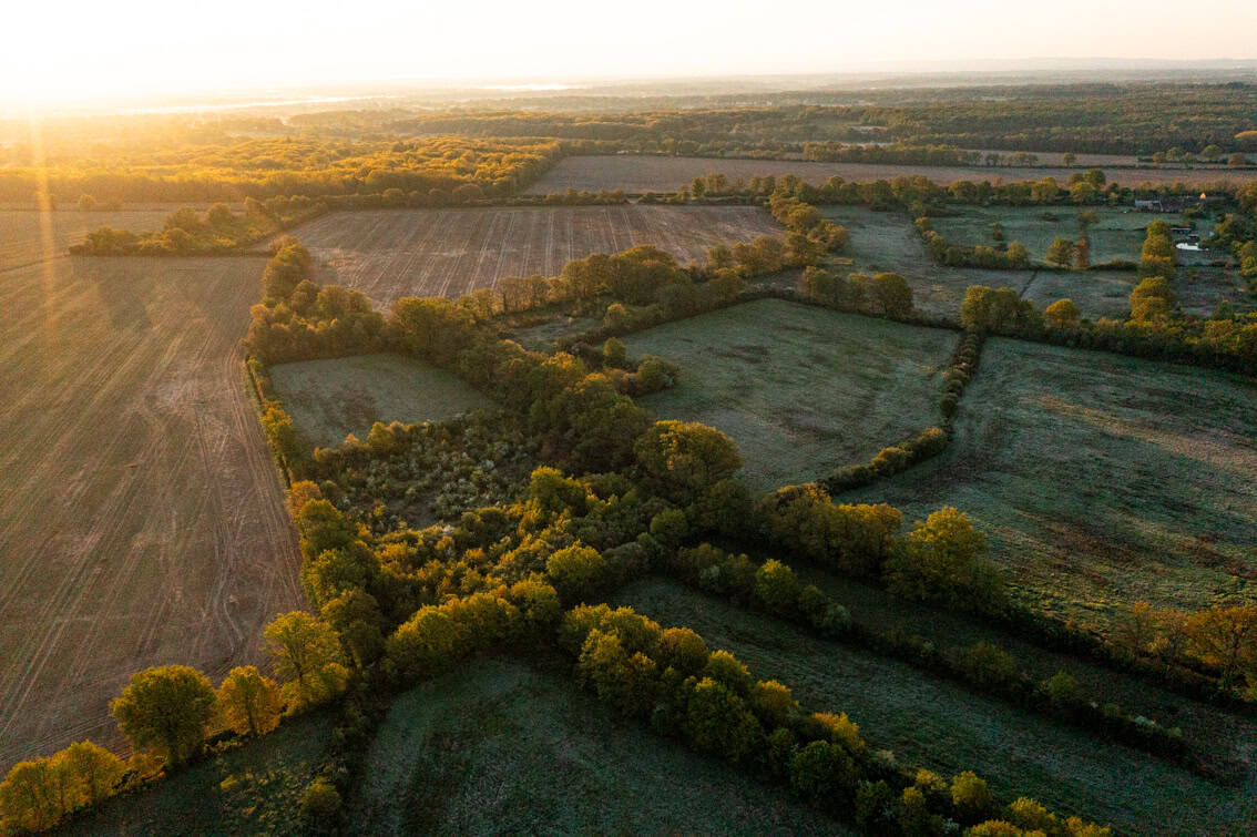 Paysage bocager au sud de la Vienne. Photo : ©Erwan Balança