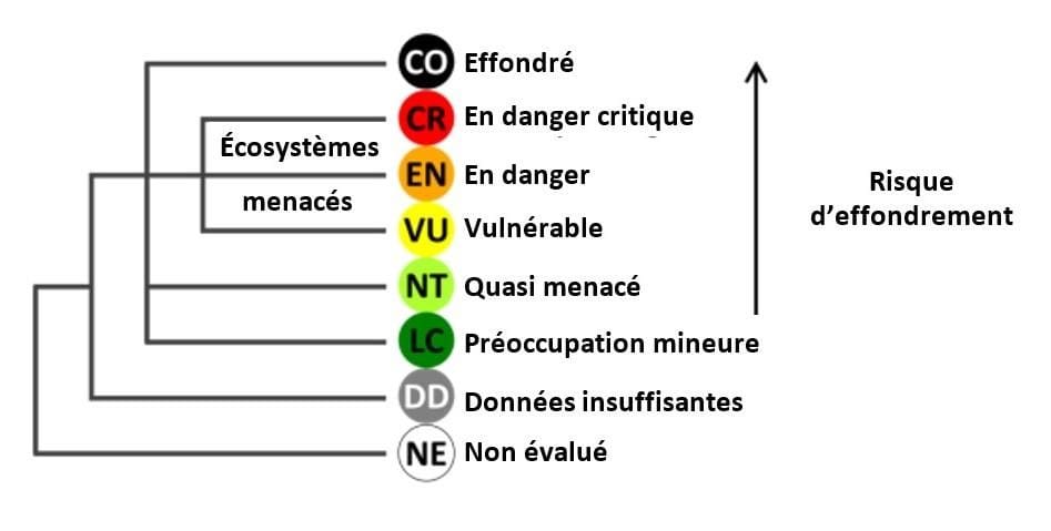Les catégories de l’UICN utilisées pour les évaluations régionales et nationales de la Liste rouge, ©UICN