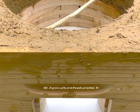 ruche warre en argile