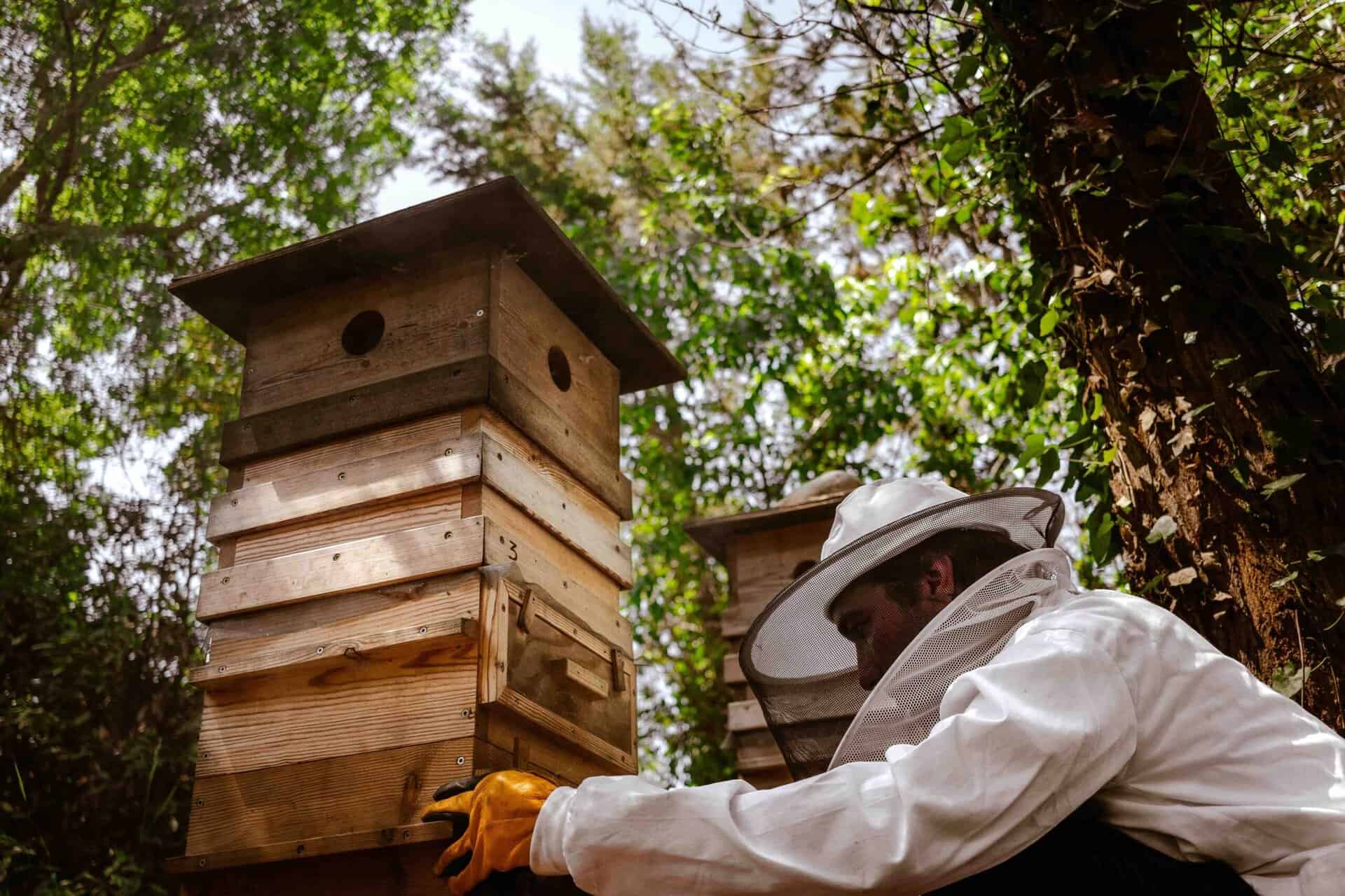 apiculture-ecologique-suisse-2026