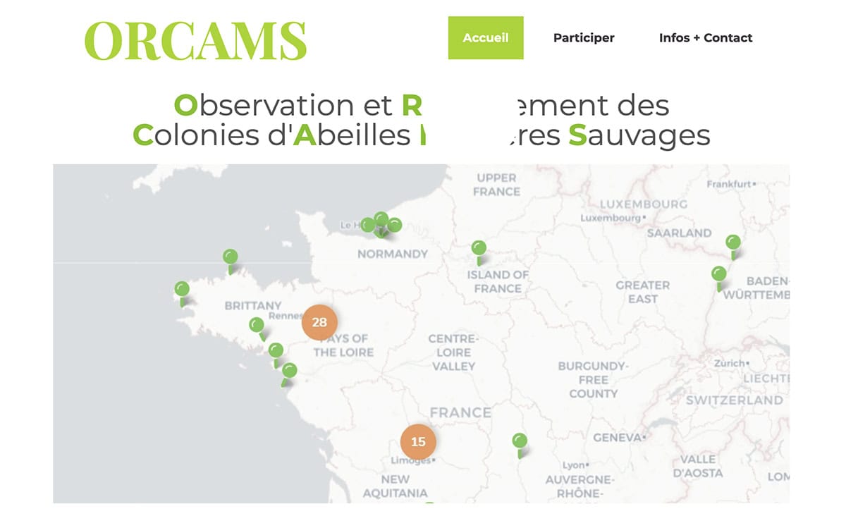 ORCAMS (Observation et Recensement des Colonies d’Abeilles Mellifères Sauvages)