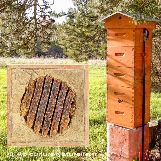 stage-warre-argile-juin-2026