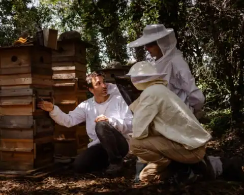 formation-apiculture-ecologique