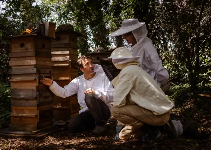 formation-apiculture-ecologique