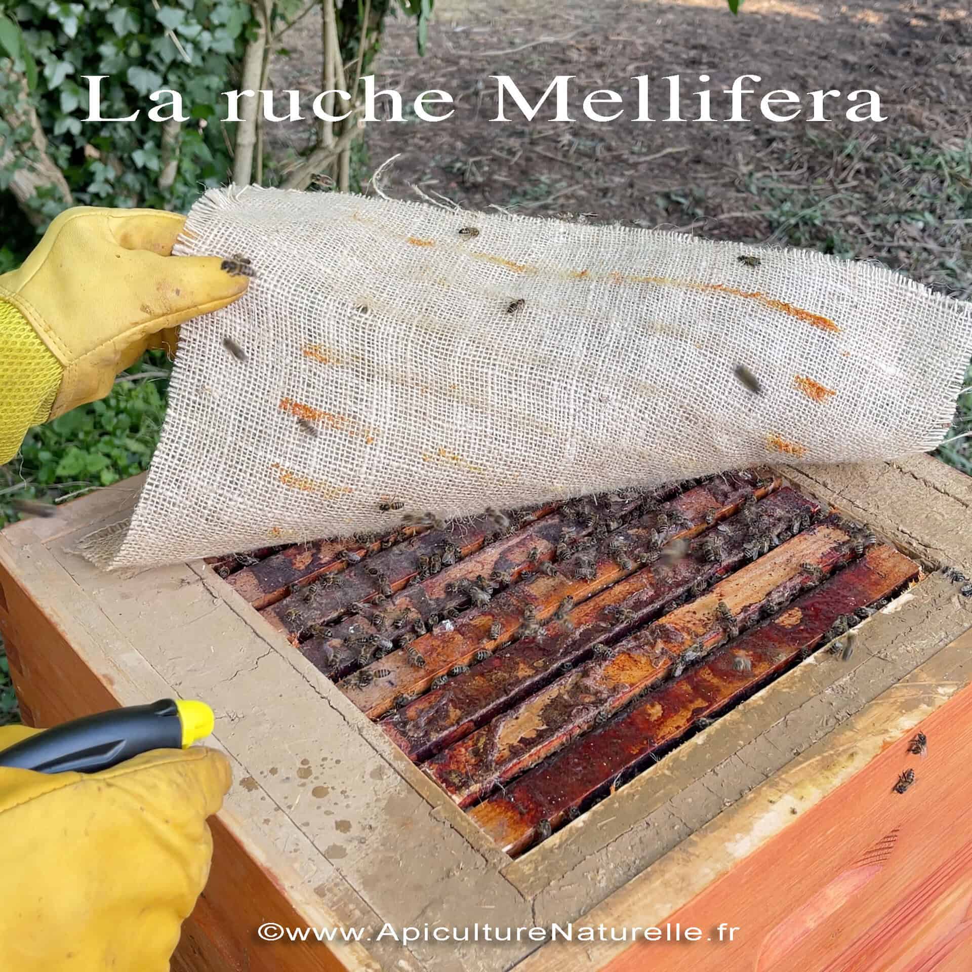 La-Ruche-Mellifera