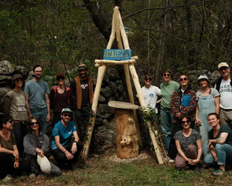 La Forêt des Abeilles Libres soutenez le développement du projet en Ardèche !