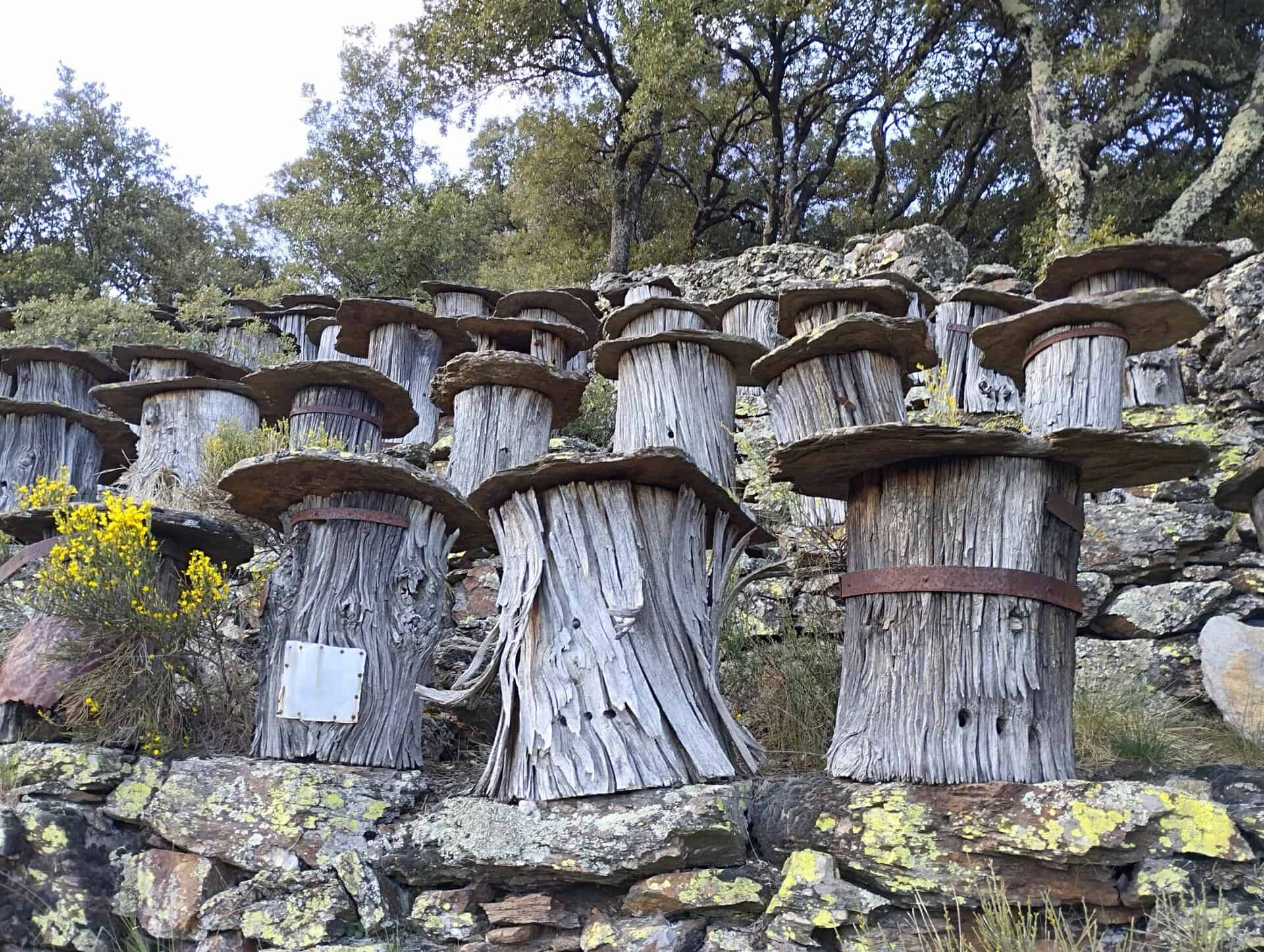 Rucher-tronc de Thines en Ardèche