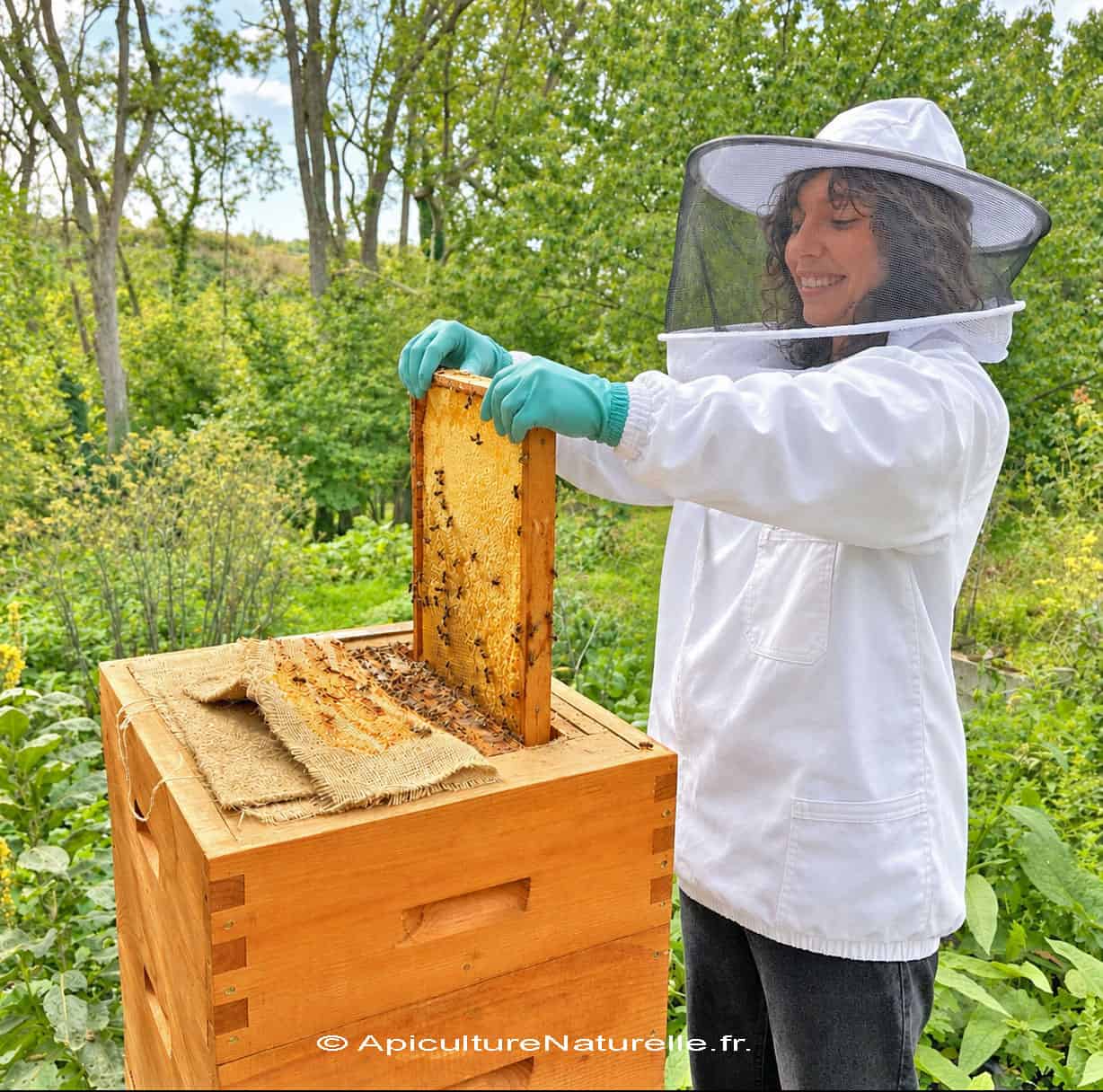 stage-ruche-mellifera-03-10-2026